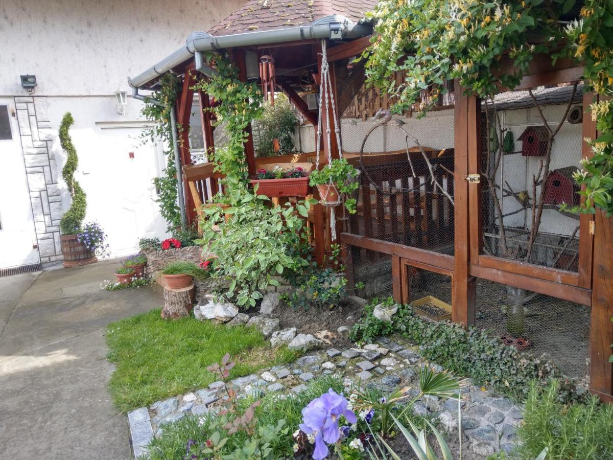 Apartment Harmonija Apatin Zewnętrze zdjęcie