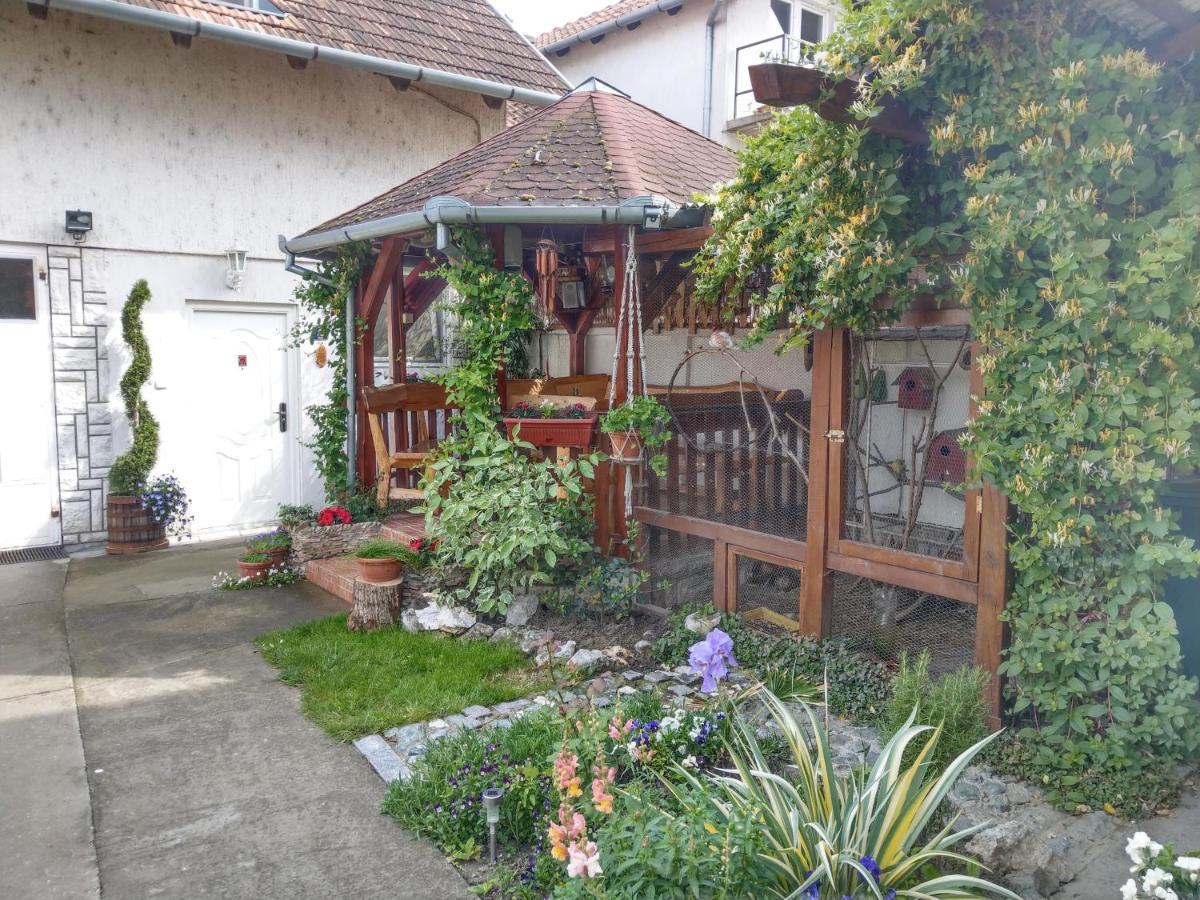 Apartment Harmonija Apatin Zewnętrze zdjęcie